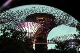 Singapore&#039;s Gardens by the Bay is the world&#039;s No. 8 attraction based on reviews and ratings on travel site Tripadvisor.