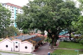 The Mun San Fook Tuck Chee Temple in Sims Drive has a pair of Angsana trees at its entrance that are thought to be at least a century old.