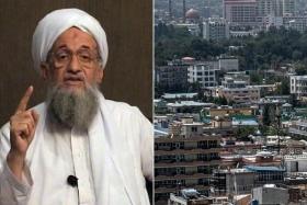 Al-Qaeda chief Ayman al-Zawahiri was killed by a drone strike in upscale Kabul neighbourhood Sherpoor, said US officials.
