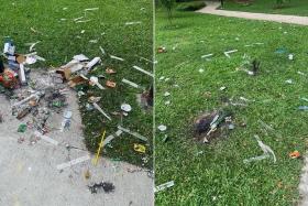 Photographs of the aftermath of Deepavali celebrations in the area showed sparklers and plastic wrappers strewn about the grass fields. 