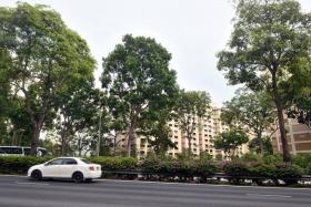 TRAGIC: Mr Ho Peng Wah was riding on the Central Expressway (CTE) near Jalan Bukit Merah (above) when he was killed by a falling tree branch.