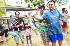 FUN: Mr Jeremy Leong (in blue T-shirt), 36, one of the organisers of the parrot gathering, showing off his bird.