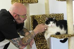 CATMAN: Jackson Galaxy, host of My Cat from Hell, will be in Singapore next month for an adoption drive and a live show.