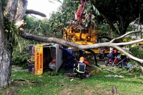 ACCIDENT SCENE: Mr Chan Chong Jin describing how the piling machine got caught in the branches of the raintree canopy on Tampines Road. (Above) The lorry was tipped on its side.