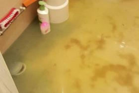 DISGUSTING: Sewage water flooding Madam Tan Siew Tin&#039;s master bedroom toilet last weekend.