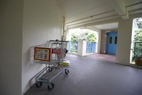 UNRETURNED: Supermarket trolleys are sometimes abandoned outside of the stores, such as the ones seen in an HDB lift landing and a handicap lot.