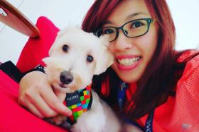 PET LOVER: Miss Diane Yue Hui Hui has been a pet-sitter since early last year. 