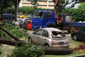 CRUSHED: The front and rear windscreens and the roof of Madam Leong Shock Ping&#039;s Nissan March were badly damaged.