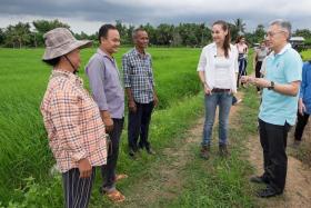 GREEN EFFORTS: Mr Thirawit Leetavorn (right) and travel presenter Denise Keller (in white) with rice farmers in Thailand. 