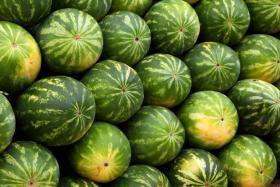Man tries to woo ex-girlfriend with 99 watermelons