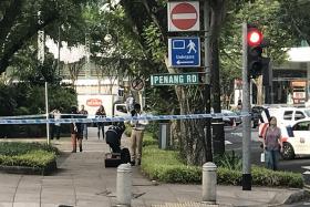 Suspicious object at Istana Park identified as toy hand grenade