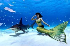 Be part of a mermaid&#039;s world on Genting Dream