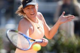 Maria Sharapova (above) faces Simona Halep in the semi-finals of the Italian Open.