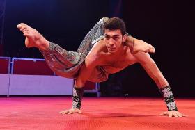 The Great Moscow Circus performers suffer for their art