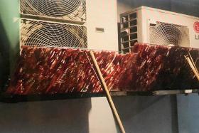 Raw meat dried on air-con vent outside HDB flat attracted pests