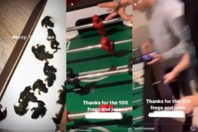 Videos of the incident show the teens unboxing the live frogs and playing foosball with a frog on the table. 