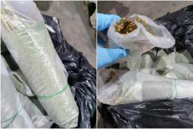Close up of the bundles of kratom leaves found in the battery compartment of a Malaysia-registered lorry on Jan 3, 2022. 