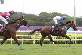 Con Speranza beating Russian Twist by 11/4 lengths three starts back on Sept 18 last year in a Class 4 race over 1,600m. The Hideyuki Takaoka-trained four-year-old had good excuses in his subsequent two starts and looks set to return to the winning list in Race 6 tomorrow.