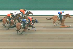 Rocket Star sprinting home with jockey Manoel Nunes astride in the third of five trials at Kranji yesterday morning. He beat the fast-closing Minister (centre) and Mr Malek (outside), who were both just as impressive. 
