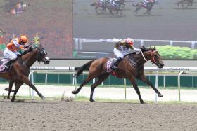 Sky Eye (No. 11), a three-time winner from 22 starts, is due for another victory. He should get it in tomorrow’s Race 3, the $50,000 Class 4 Division 2 race over the Polytrack 1,000m.