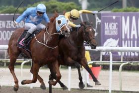 Iron Ruler (left) scoring one of his four wins. Placed in his last two starts, he looks due to score again in tomorrow’s Race 7, the $50,000 Class 4 event over the Polytrack 1,600m.
