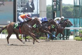 Boy Xander (inside) fending off Elliot Ness and Con Speranza (centre) in his debut last Feb 27.