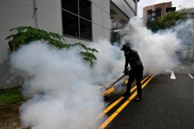 Since the start of the year, Singapore has recorded over 8,000 cases of dengue. 
