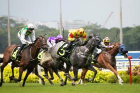 Speedy Missile (No. 4) flashing home second to the grey Win Win in his last start over 1,200m with Jake Bayliss astride on May 21.