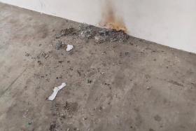 French School students said to have vandalised void deck