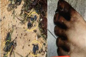 East Coast Park patrons get hands, feet stained by 'black sticky substance' on the beach 