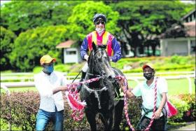 Impressive debut winner Fadaboy has a top chance to score win No. 2 from three starts in the $75,000 Novice event over the Polytrack 1,100m. 
