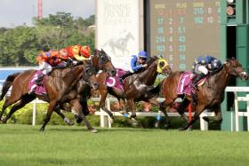 Super Impact (partly obscured, second from left) finishing a strong third behind Lim’s Kosciuszko (No. 1) and Relentless (No. 2) in the Group 1 Singapore Derby over 1,800m on July 17. 