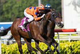 Relentless winning the Group 2 Stewards’ Cup on June 26. 
