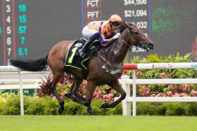 Apprentice jockey Yusoff Fadzli has ridden Charminton five times for three wins and two seconds. 