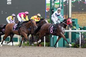 Last-start winner Moongate Star is a lot fitter and looks the one to beat in Saturday&#039;s Race 8, the $70,000 Class 3 event over the Polytrack 1,100m. 
