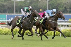 The Donna Logan-trained January (Simon Kok) holding off Fight On (Jake Bayliss) to claim the Restricted Maiden race over 1,400m on Oct 22, 2022. Champion Manoel Nunes will be his pilot in Race 8 on Saturday.
