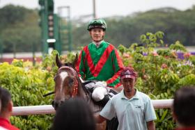 Trainer Desmond Koh&#039;s 600th winner Flying Nemo (Simon Kok) returning to scale after scoring his second straight success at Kranji on Monday.

