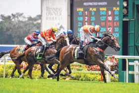 The Shane Baertschiger- trained Watery (Shafrizal Saleh) finishing second to the Donna Logan-trained Deception (Hakim Kamaruddin) over 1,200m on May 14, 2022. He looks set to greet the judge based on his smart trial victory with blinkers. 
