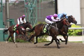 January finishing a short-head second to Bionics (No. 6) over the Polytrack 1,100m on Jan 14. Back to 1,400m on turf on Saturday, January should notch his third success over the track and distance. 