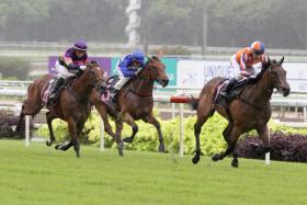 The Donna Logan-trained Knippenberg (Ronnie Stewart) coasting home an easy first-up winner on Jan 28. He looks ready to repeat the dose in the Novice event over the Polytrack 1,200m at Kranji on Saturday. 