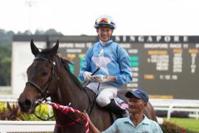 Of his 11 rides at Kranji on Saturday, jockey Simon Kok will again be wearing the famous light blue and white star colours (above) of the Thai-owned Falcon Racing No. 7 Stable on Mystery Power (Race 1), Taling Pling (Race 4), January (Race 7) and Diamond Ring (Race 8). With luck, all four can score. ST PHOTO: SYAMIL SAPARI
