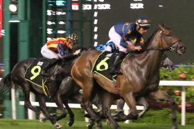 Jockey Marc Lerner steering Invincible Tycoon to an emphatic victory two runs back on Feb 12. The Steven Burridge-trained gelding followed up with a head second on Feb 25. He is hard to beat on Saturday. ST PHOTO: SHAHRIYA YAHAYA