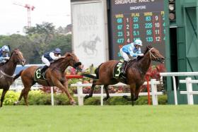 Jockey Manoel Nunes partnering the Jason Lim-trained Super Salute to their third successive victory over 1,200m on turf at Kranji on Feb 12. ST PHOTO: SHAHRIYA YAHAYA