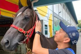 Trainer David Kok with his debut runner-up City Gold Forward, who has improved and can go one better on Saturday. PHOTO: COURTESY OF DAVID KOK
