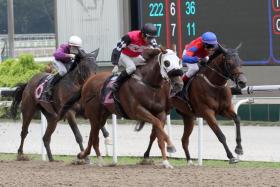 Jockey Shafrizal Saleh driving the Jason Lim-trained Prestige Star (No. 2) to snatch a nose victory from The Star (inside) in the $75,000 Novice event over the Polytrack 1,100m in Race 7 at Kranji on Saturday. ST PHOTO: SHAHRI YAHAYA

