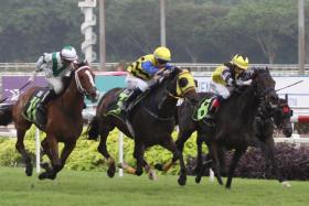 Wind Trail (centre) giving jockey Calvin Habib his first Singapore winner on Saturday. His mount beat Tony&#039;s Love (No. 11) and Prioritize. ST PHOTO: SHAHRIYA YAHAYA