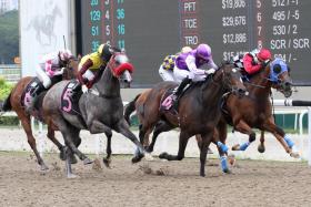 Trainer Young Keah Yong was queried on Race 3 winner Bionics (No. 4). ST PHOTO: SHAHRIYA YAHAYA
