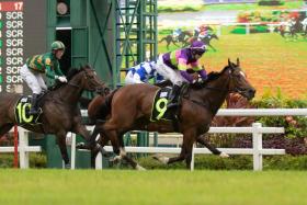 Street Of Dreams (Ronnie Stewart) defeating Hongkong Great (Vlad Duric, obscured) and Circuit Mission (Wong Chin Chuen) in a Kranji Stakes A race (1,600m) on March 4. The trio will lock horns again in the Group 1 Kranji Mile on May 20. ST PHOTO: SYAMIL SAPARI
