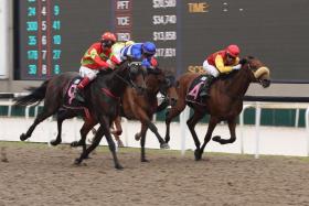 The trainer David Kok and jockey A&#039;Isisuhairi Kasim combination scoring with outsider Happy Warrior (No. 9) on June 24. The $214 winner was A&#039;Isisuhairi&#039;s 299th victory at Kranji and the 298th for Kok. A&#039;Isisuhairi has eight rides on Sunday, three of them for Kok, who has two other runners. 