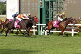 Kharisma staving off the favourite Pacific Emperor (No. 9) in the $110,000 Group 3 Rocket Man Sprint on Sunday. The win gave jockey Shafrizal Saleh his second feature and trainer Stephen Gray his third Rocket Man Sprint, after Emperor Max and Lim&#039;s Cruiser. ST PHOTO: SHAHRIYA YAHAYA
